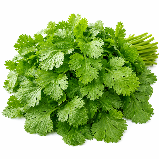 Coriander leaves 1 bunch